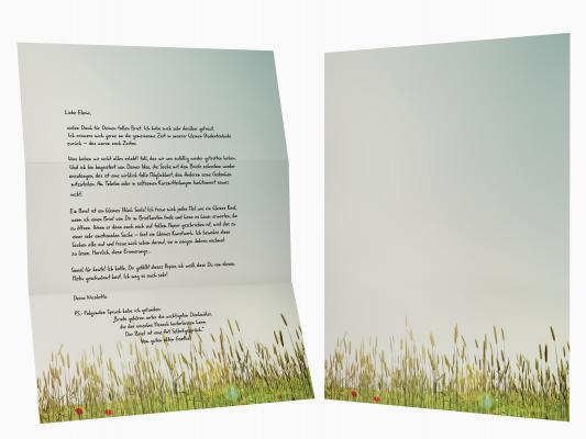Stationery Structure Sunny Field